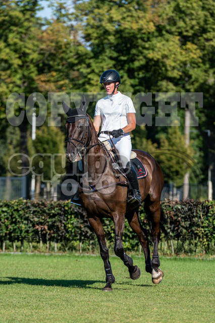 Kronenberg - De Peelbergen (August 2020)