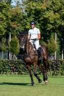 Kronenberg - De Peelbergen (August 2020)