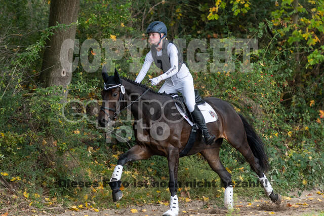 Goldene Schärpe 2020 - Pferde