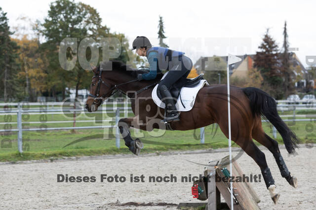 IGV Lehrgang der Sieger der Cups mit Frank Ostholt