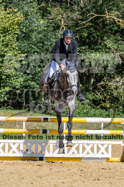 RFV Dinslaken-Hiesfeld (Herbstturnier)