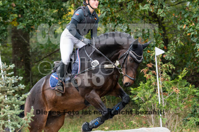 Goldene Schärpe 2020 - Pferde