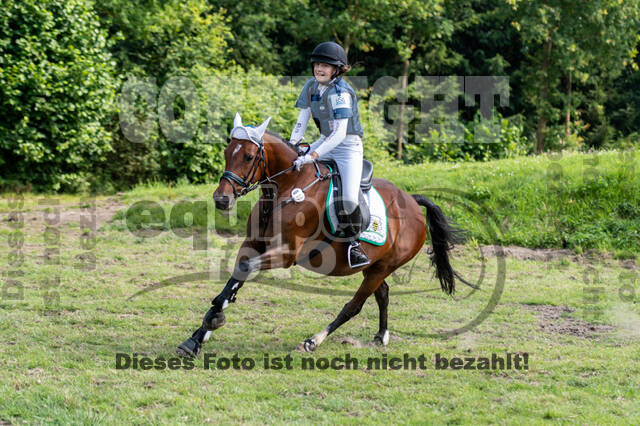 Goldene Schärpe 2021 - Ponys