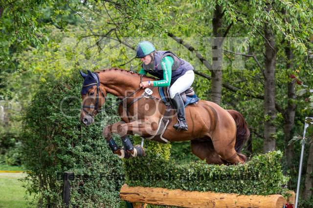 Bonn-Rodderberg Late-Entry-Vielseitigkeit (30.06.2020)