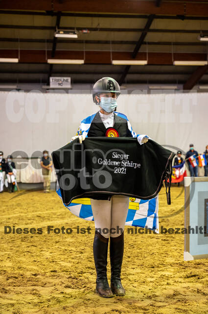 Goldene Schärpe 2021 - Ponys