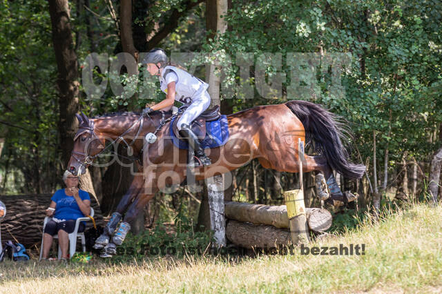 Late-Entry Vielseitigkeit Hamminkeln/Wesel (01.+02.08.2020)