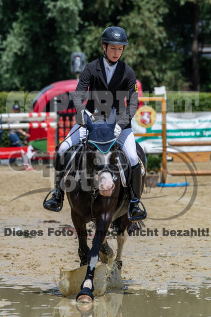 Goldene Schärpe 2021 - Ponys