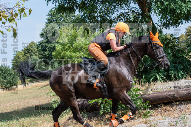 Hunter Geländetraining (16.08.2020)