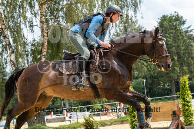Hunter Geländetraining 10.07.2021 (Sonsbeck)