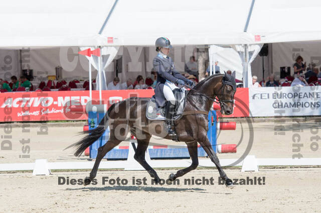 FEI European Championship