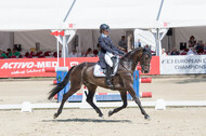 FEI European Championship