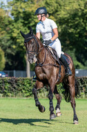 Kronenberg - De Peelbergen (August 2020)