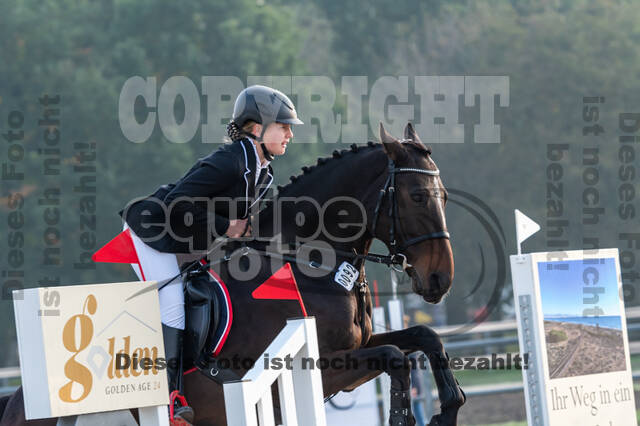 Goldene Schärpe 2020 - Pferde