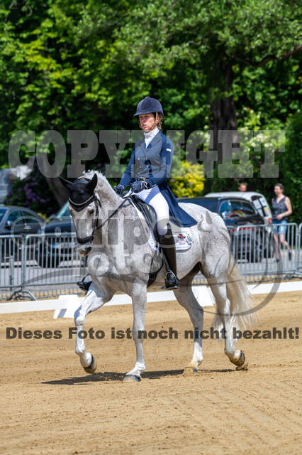 Westerstede Horse Trials 2021