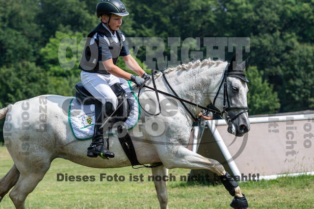 Goldene Schärpe 2021 - Ponys