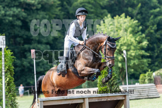 Goldene Schärpe 2021 - Ponys
