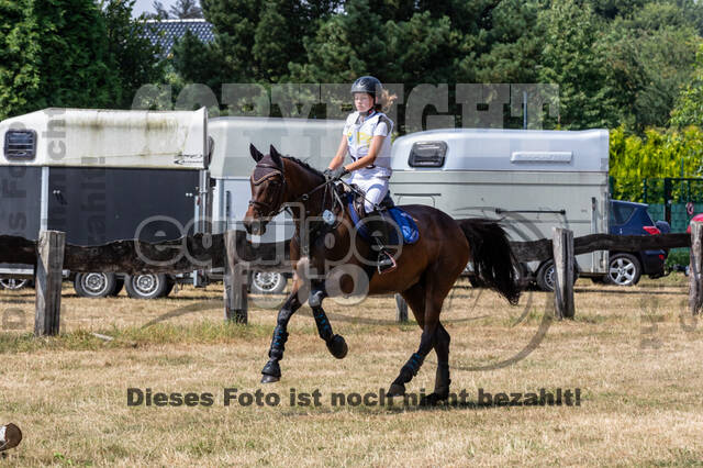 Late-Entry Vielseitigkeit Hamminkeln/Wesel (01.+02.08.2020)