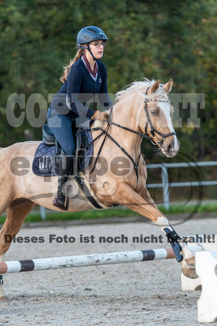 IGV Lehrgang der Sieger der Cups mit Frank Ostholt