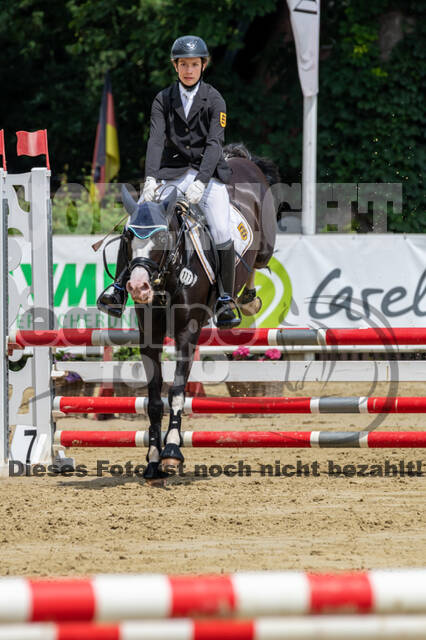 Goldene Schärpe 2021 - Ponys