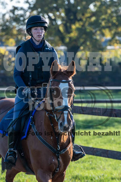 Vielseitigkeitslehrgang mit Jürg Kurbel (9.+10.11.2019)
