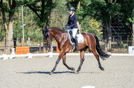 Kronenberg - De Peelbergen (August 2020)