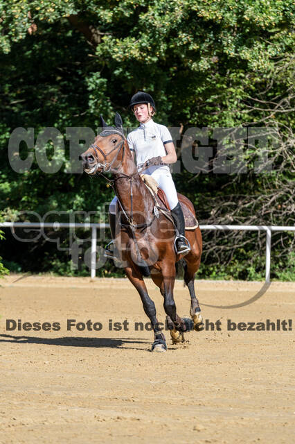 RFV Dinslaken-Hiesfeld (Herbstturnier)
