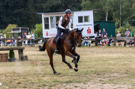 Late-Entry Vielseitigkeit Hamminkeln/Wesel (01.+02.08.2020)