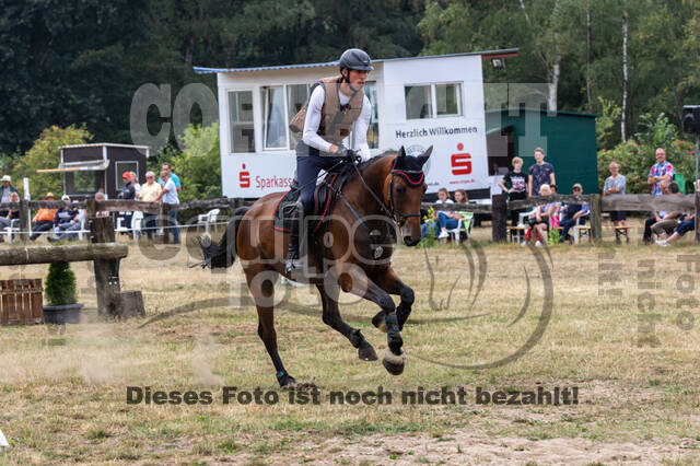 Late-Entry Vielseitigkeit Hamminkeln/Wesel (01.+02.08.2020)