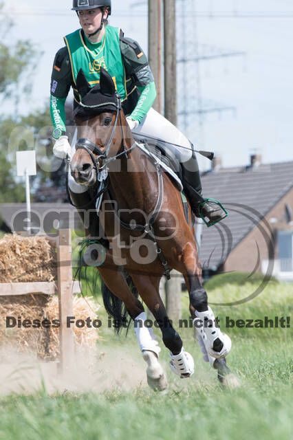 Vielseitigkeitsturnier ZRuFV von Lützow Hamminkeln