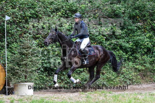 Late-Entry-Vielseitigkeit Langenfeld (11.+13./14.06.2020)