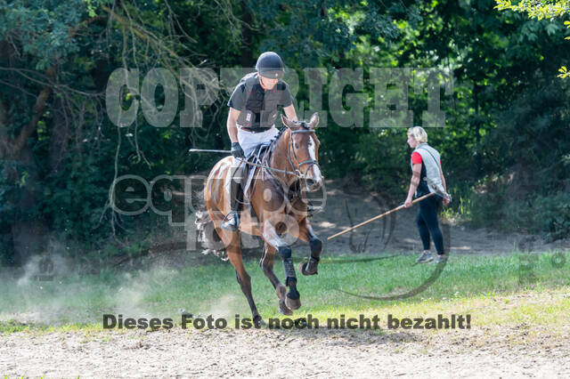 Late-Entry-Vielseitigkeit Langenfeld (11.+13./14.06.2020)