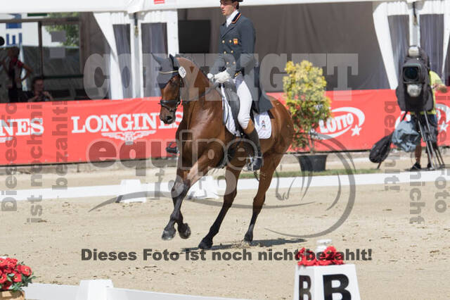 FEI European Championship Eventing 2017