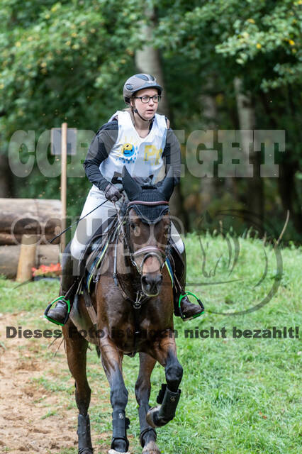 Vielseitigkeit RSV Wesel Obrighoven (26.+27.09.2020)