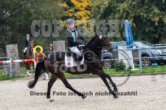 Goldene Schärpe 2020 - Pferde