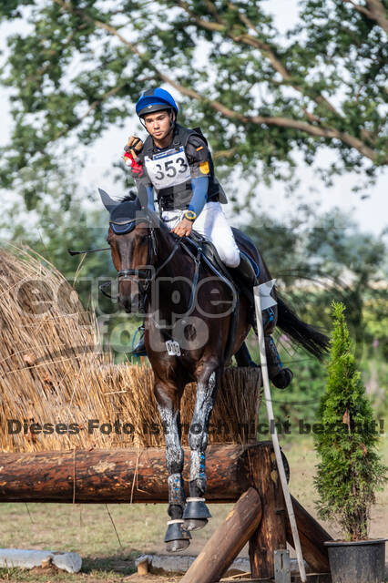 De Peelbergen (August 2020)