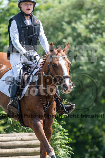 Goldene Schärpe 2021 - Ponys
