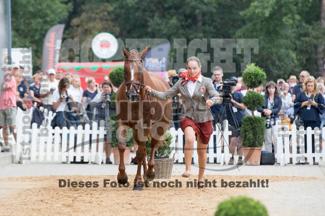 FEI European Championship Eventing 2019
