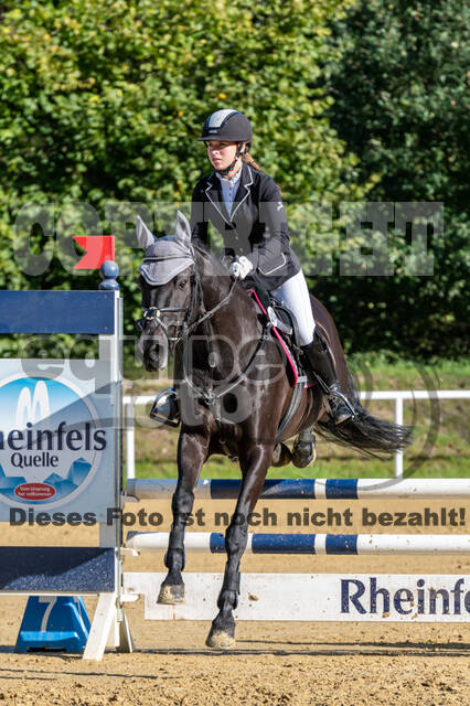 RFV Dinslaken-Hiesfeld (Herbstturnier)