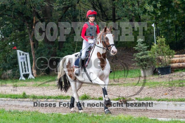 Goldene Schärpe 2020 - Pferde