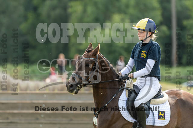Goldene Schärpe 2021 - Ponys
