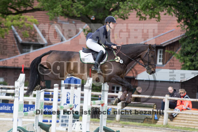 Sterne über Münster 2019 - CCI***S