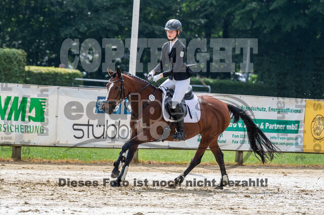 Goldene Schärpe 2021 - Ponys