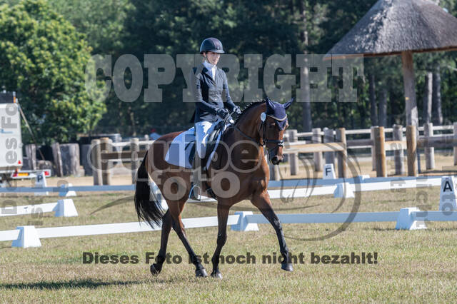 Kronenberg - De Peelbergen (August 2020)