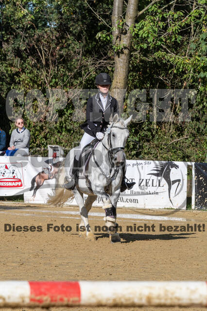 RFV Dinslaken-Hiesfeld (Herbstturnier)