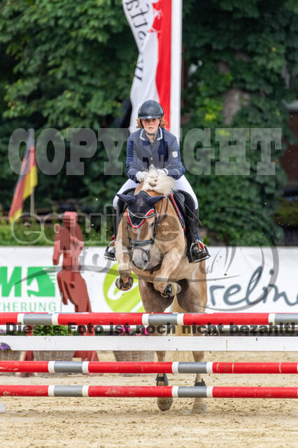 Goldene Schärpe 2021 - Ponys