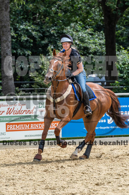 Hunter Geländetraining 10.07.2021 (Sonsbeck)