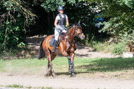 Late-Entry-Vielseitigkeit Langenfeld (11.+13./14.06.2020)