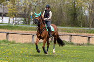 Geländetraining ZRFV Hamminkeln (24+25.04.2021)
