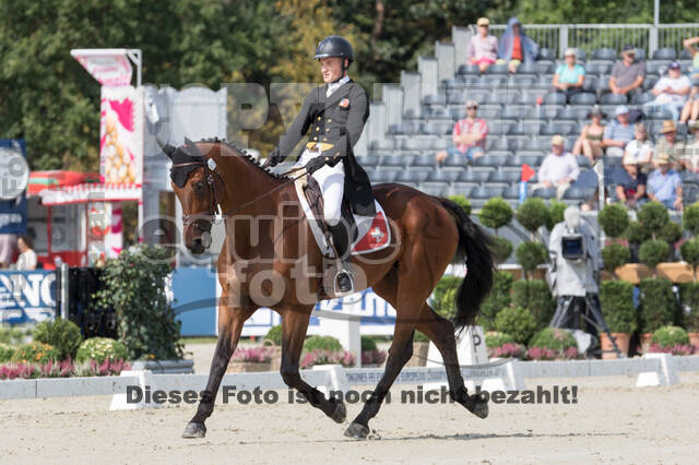 FEI European Championship Eventing 2019