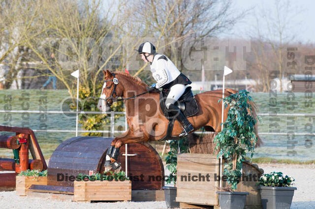 Eventing Langenfeld 2018